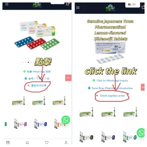 點擊查詢物流訂單示範圖