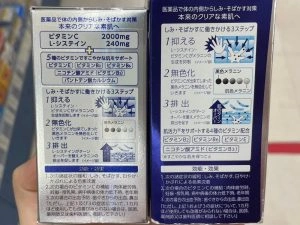 第一三共TRANSINO