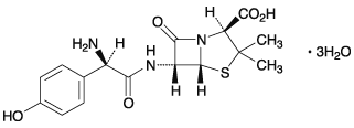 amoxicillin